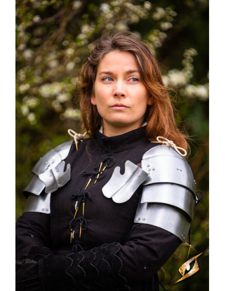 Medieval steel pauldrons model...