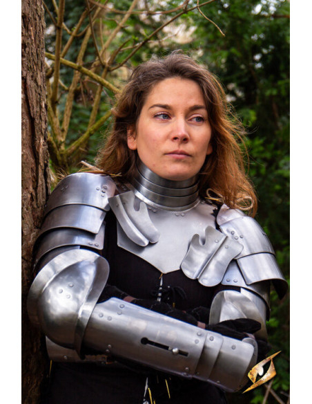 Medieval steel arms model...