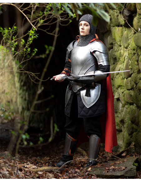 Medieval steel shoulder pads model...