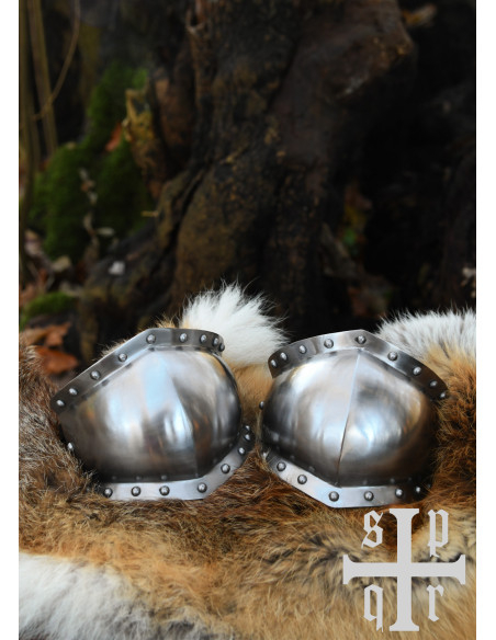 Pair of medieval knee guards, 15th...