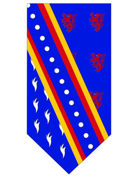 Medieval flag with lions, arminian...