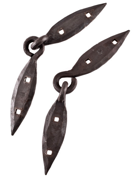 Hand-forged Viking trunk hinges