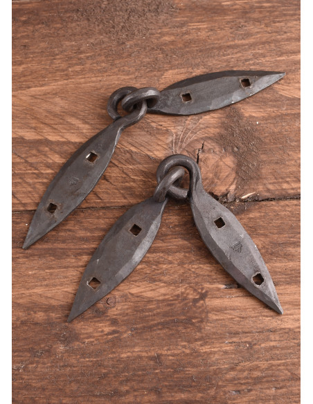 Hand-forged Viking trunk hinges