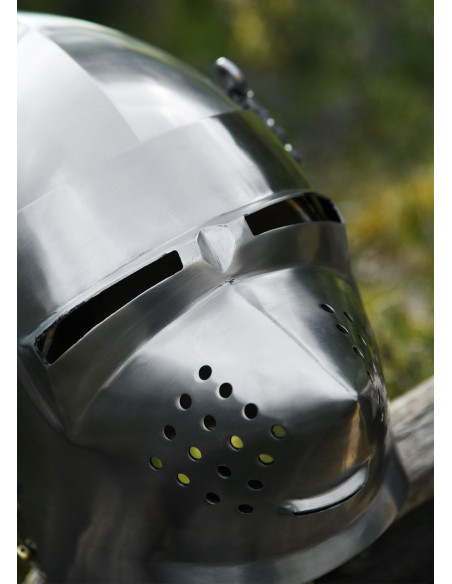 Sabre-tooth muzzle helmet, 14th... Sabre-tooth muzzle helmet, 14th...