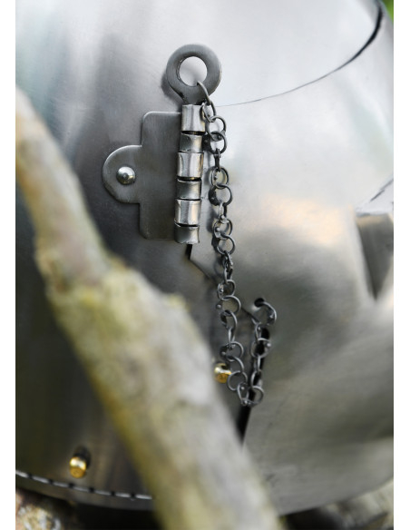 Sabre-tooth muzzle helmet, 14th... Sabre-tooth muzzle helmet, 14th...