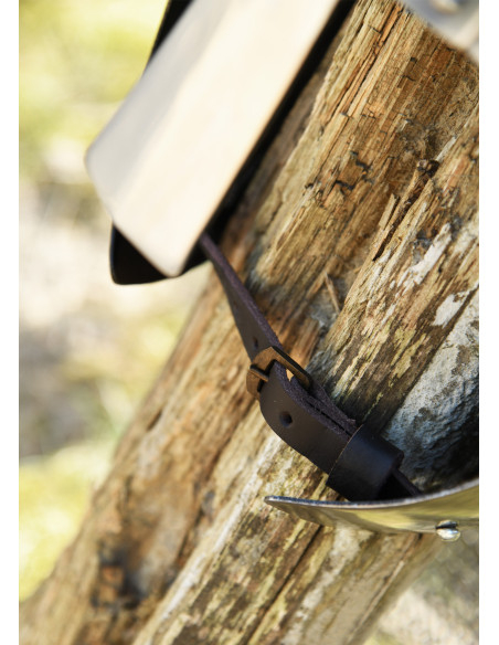 Spangen helmet with earguards and...